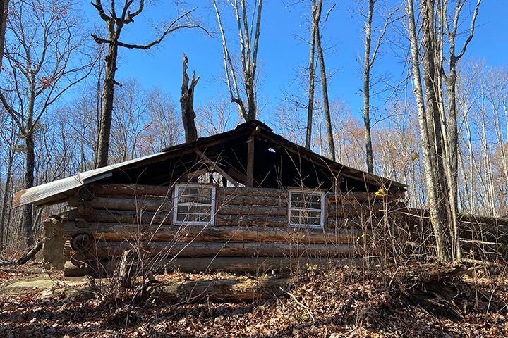 Old Cabin Back